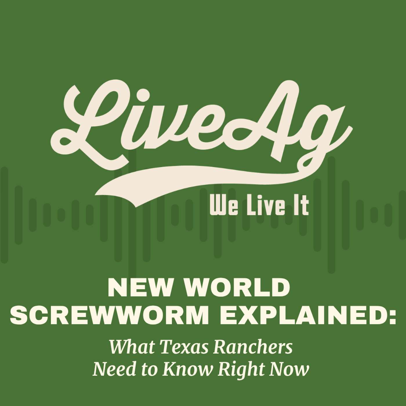 New World Screwworm Explained: What Texas Ranchers Need to Know Right Now | Wayne Cockrell