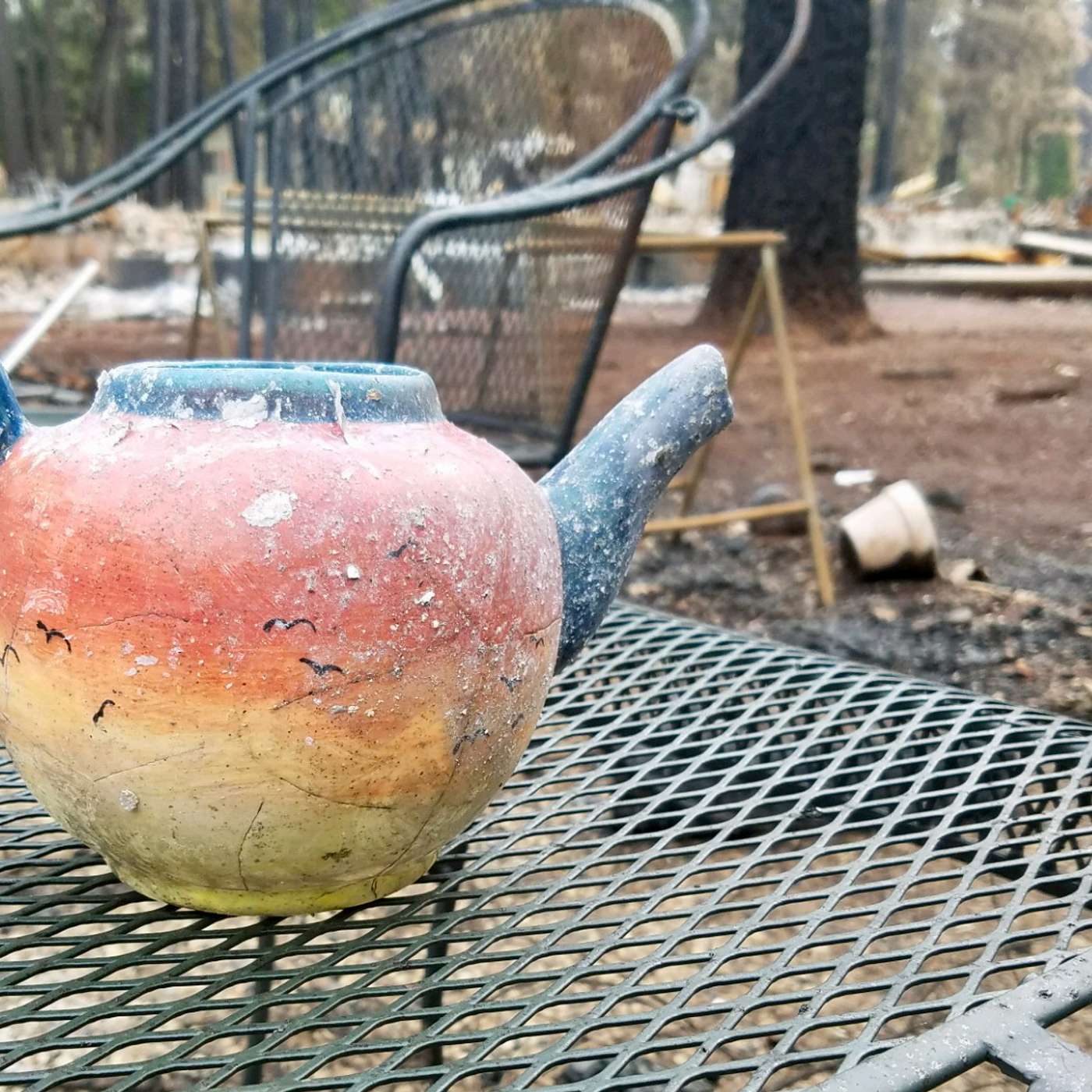 6a: Wildfires - Dragons in Paradise, Ca.