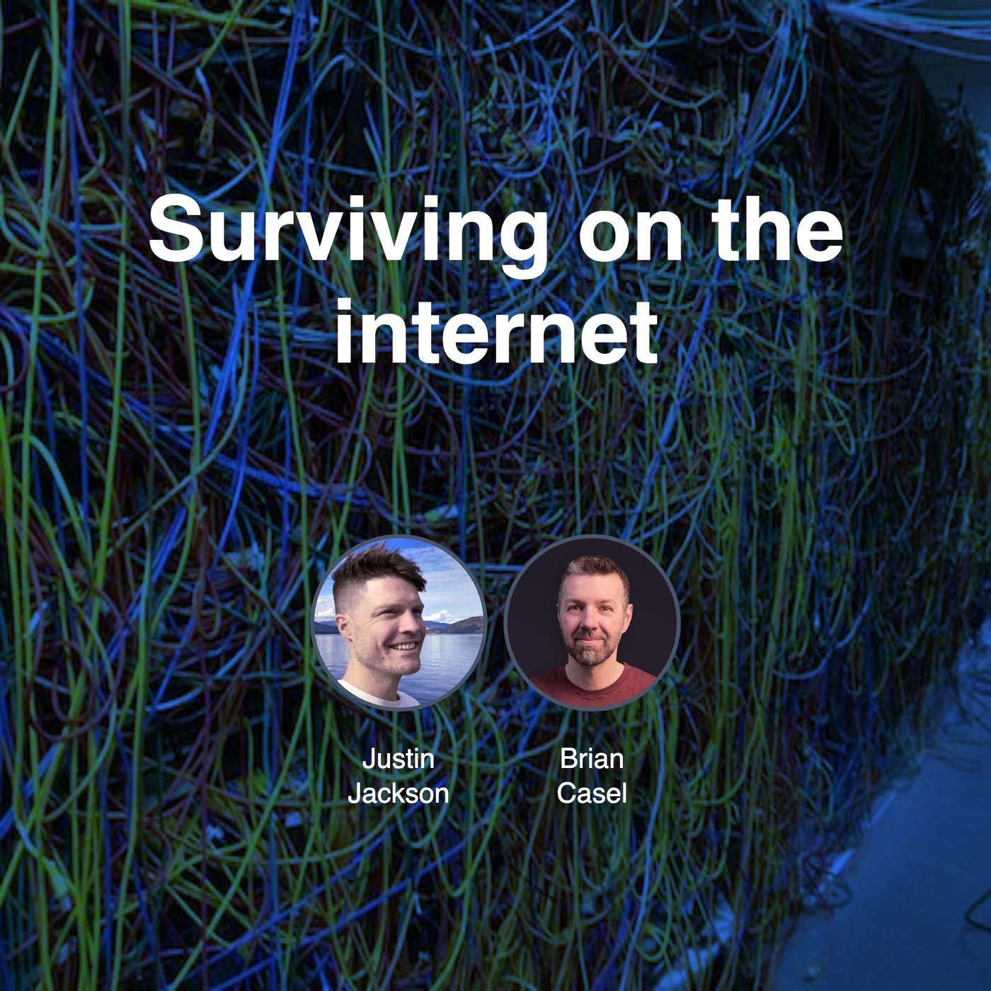 Surviving on the internet Surviving on the internet