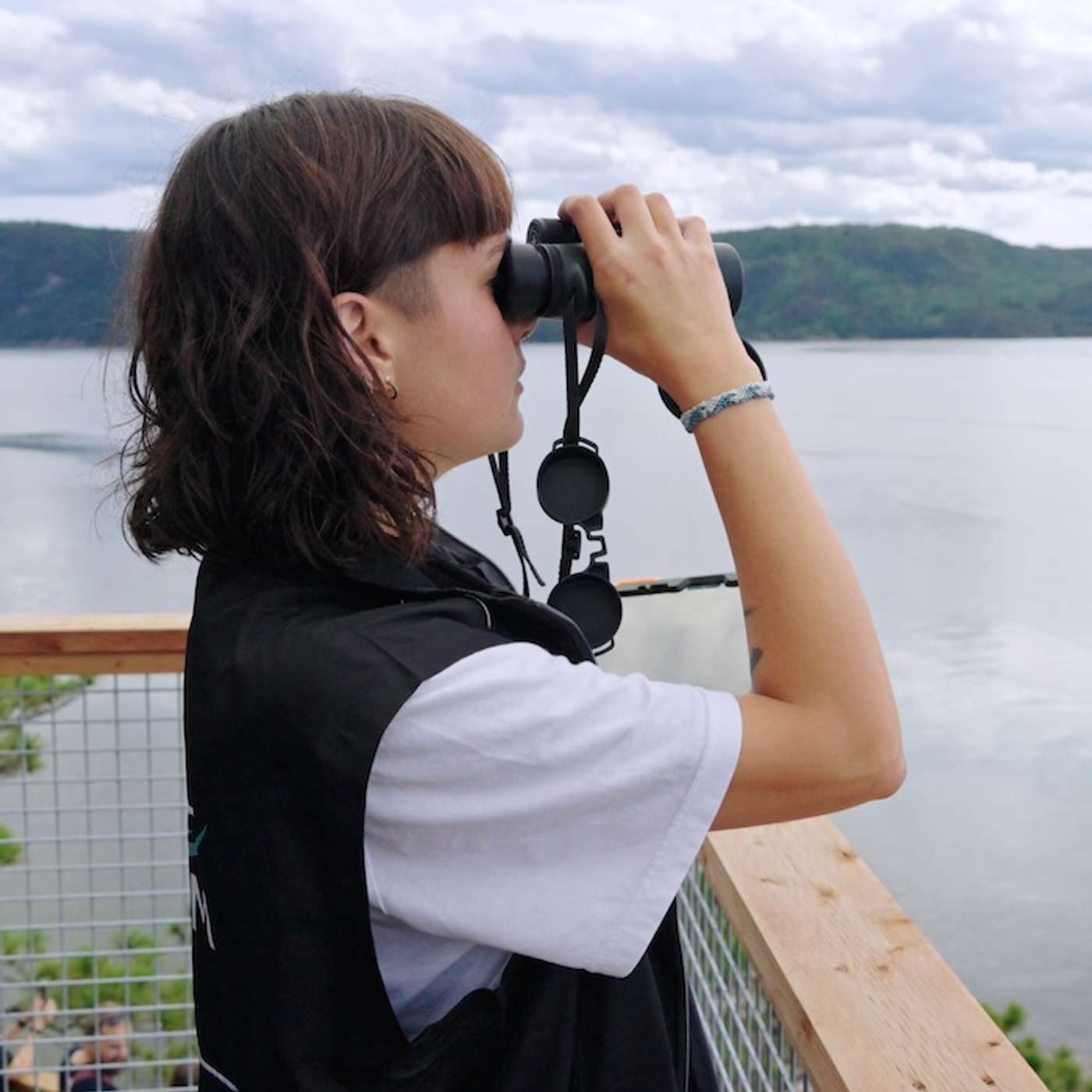 Radio Têtards #176 I A la découverte des cétacés du Saint-Laurent Radio Têtards #176 I A la découverte des cétacés du Saint-Laurent