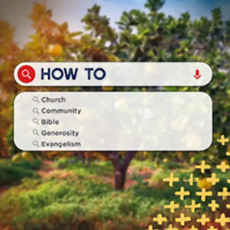 How To...- Week 3 - St. Peter - Pastor Tim Glende