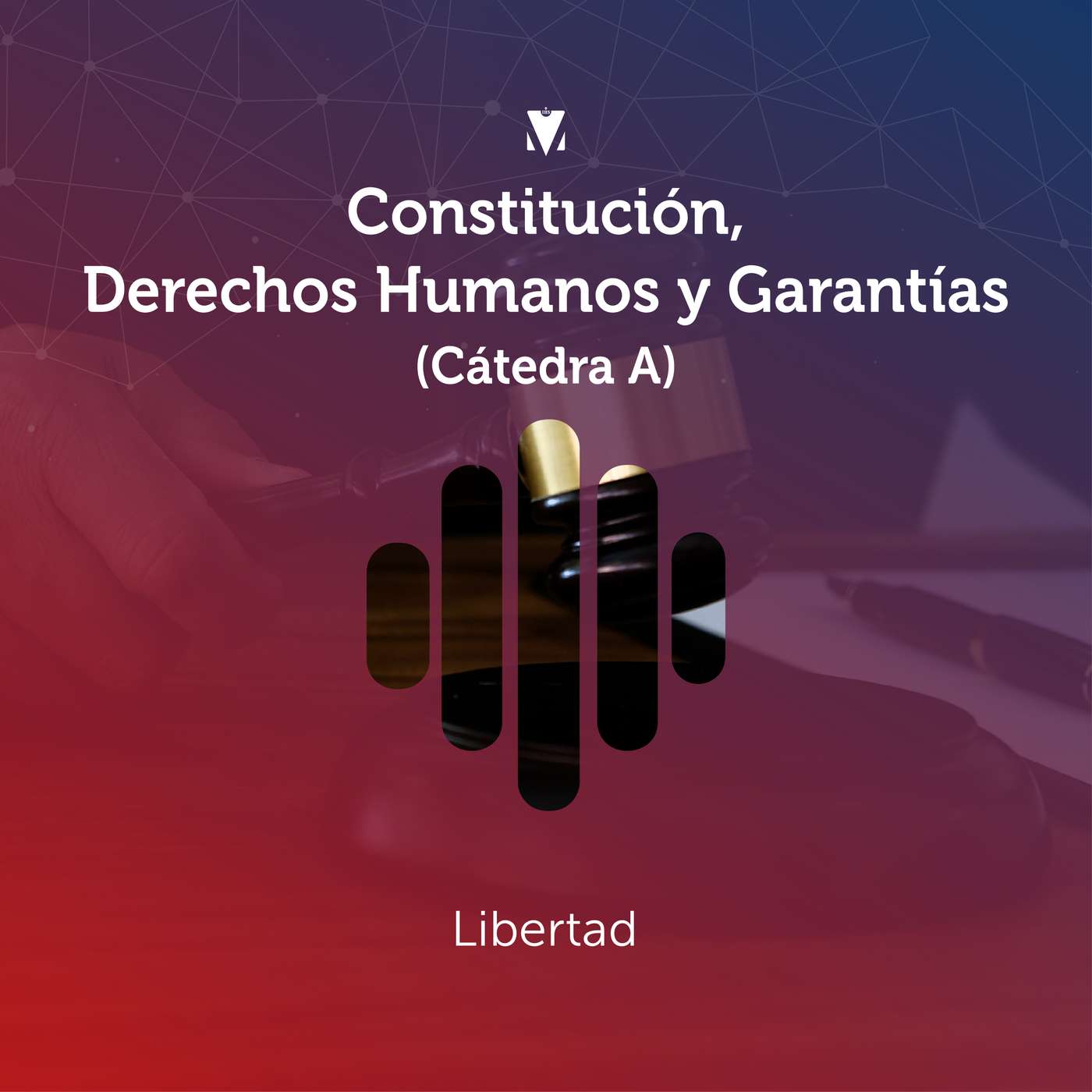 11 - CONSTITUCIÓN, DERECHOS HUMANOS Y GARANTÍAS (CÁTEDRA A): Libertad episode artwork
