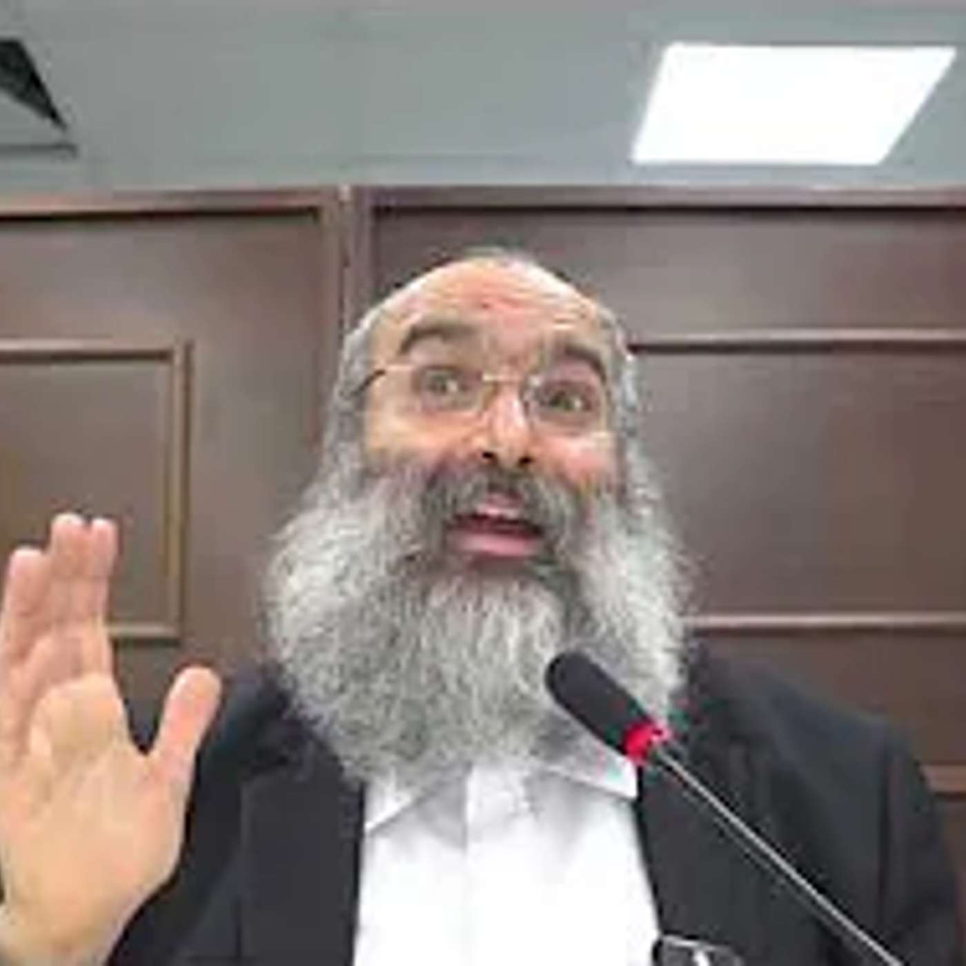 נמר שהרג אדם - האם חייב סקילה▪️ הרב נחמנסון ▪️ (שטיינבאך שול כפר חב"ד)