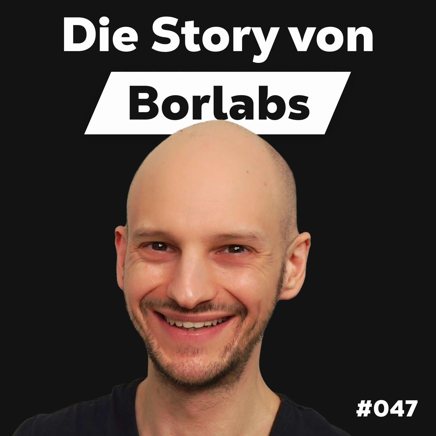 Die Dominik Liss Show (WordPress & Business Talks)