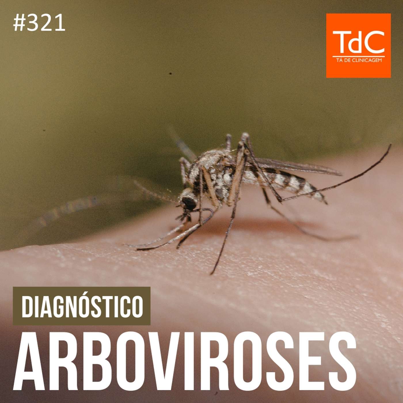 TdC 321: Diagnóstico de Arboviroses