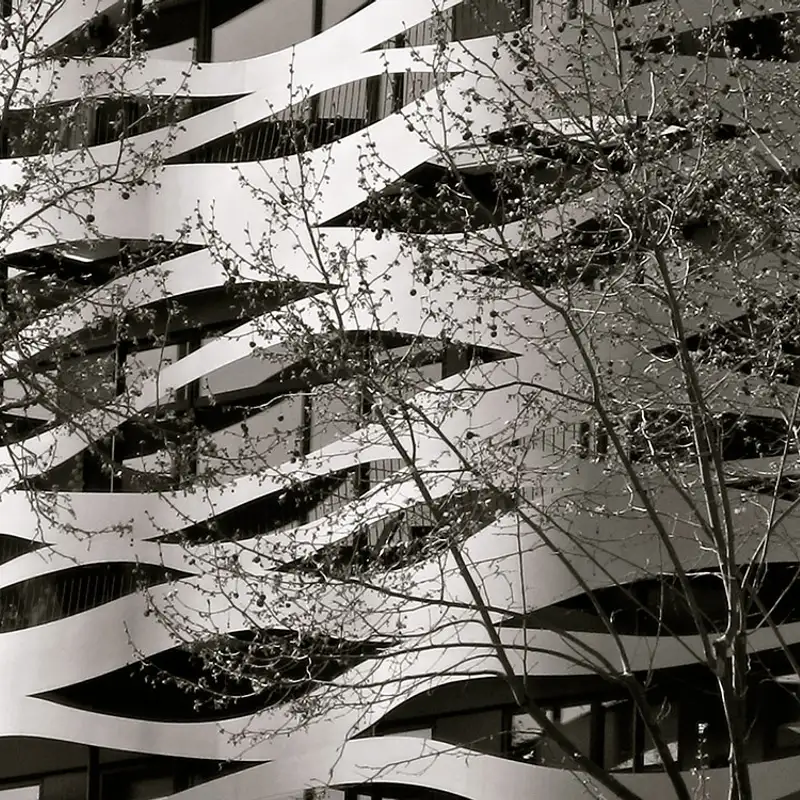 Inside the Psychotherapy Networker Symposium: Trauma, Nervous Systems, and Real Healing