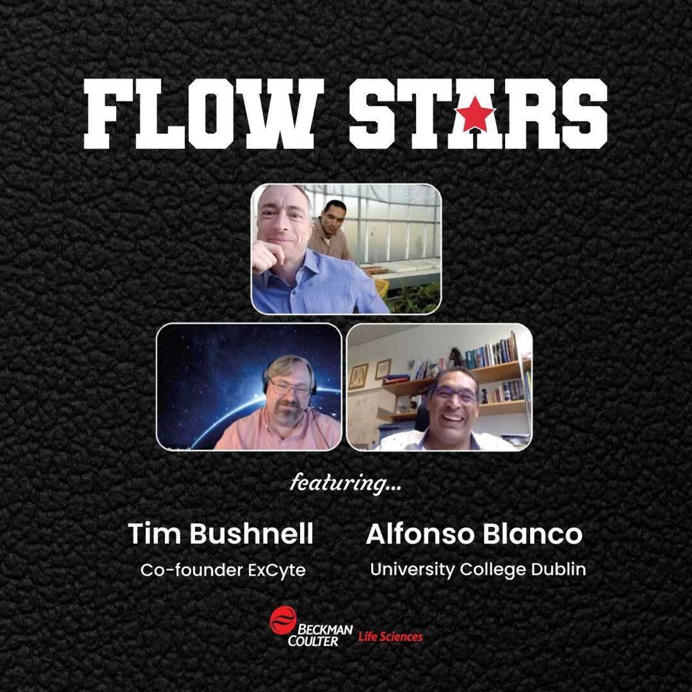 Flow Stars