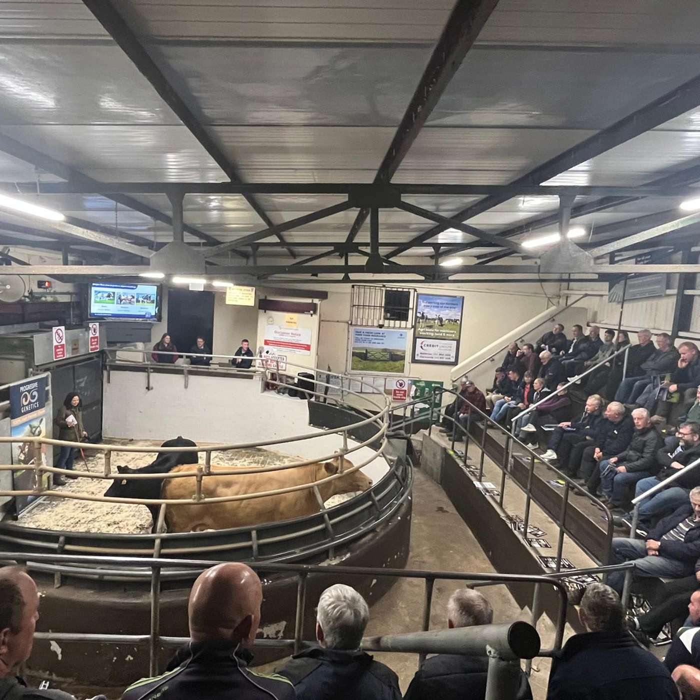 Better Genetics, Better Weanlings, Better Returns Better Genetics, Better Weanlings, Better Returns