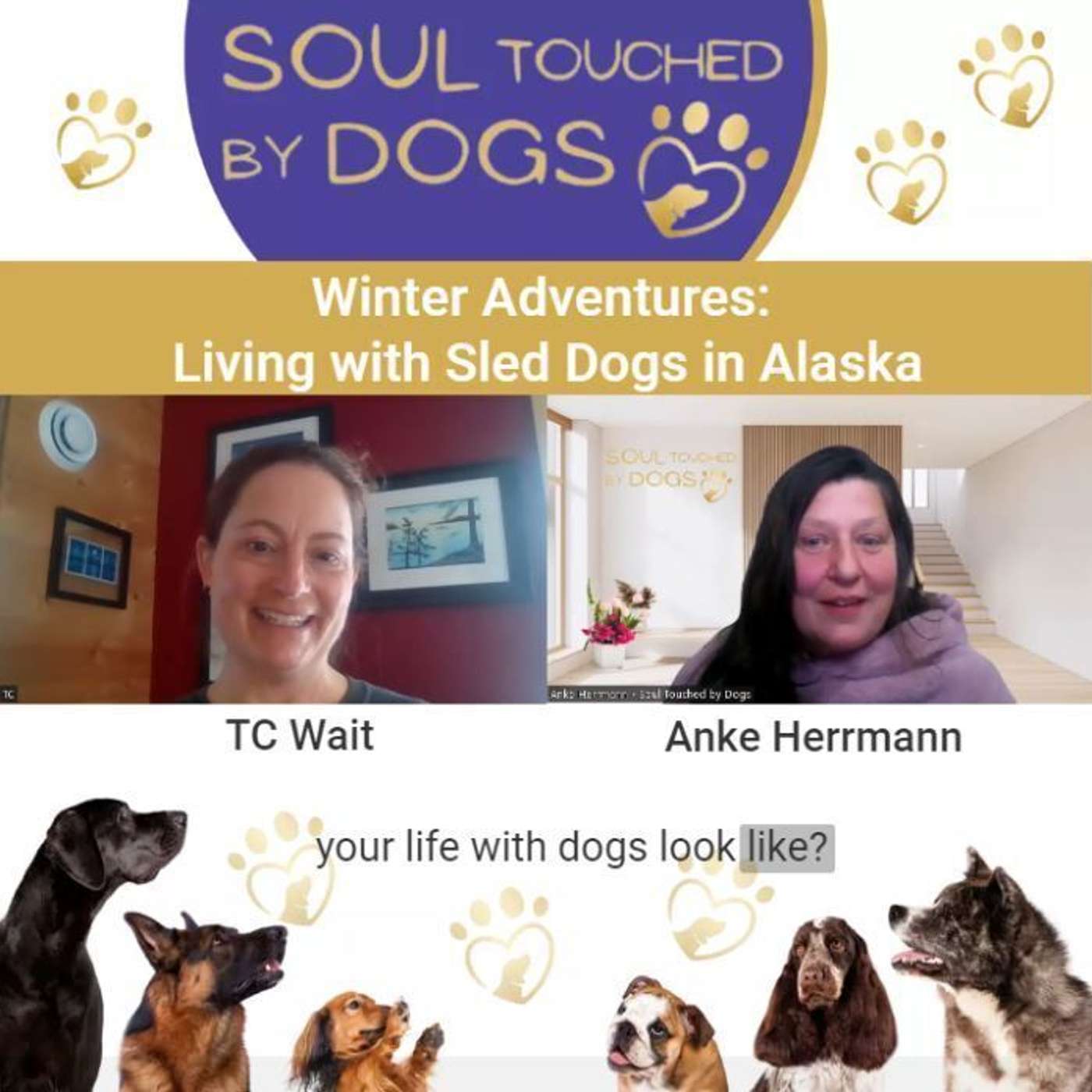 TC Wait - Winter Adventures: Living with Sled Dogs in Alaska