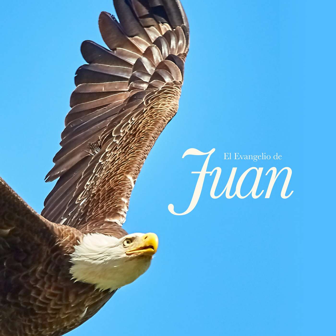 Evangelio de Juan (parte II) - Un Acto Memorable (Jn 13) episode artwork