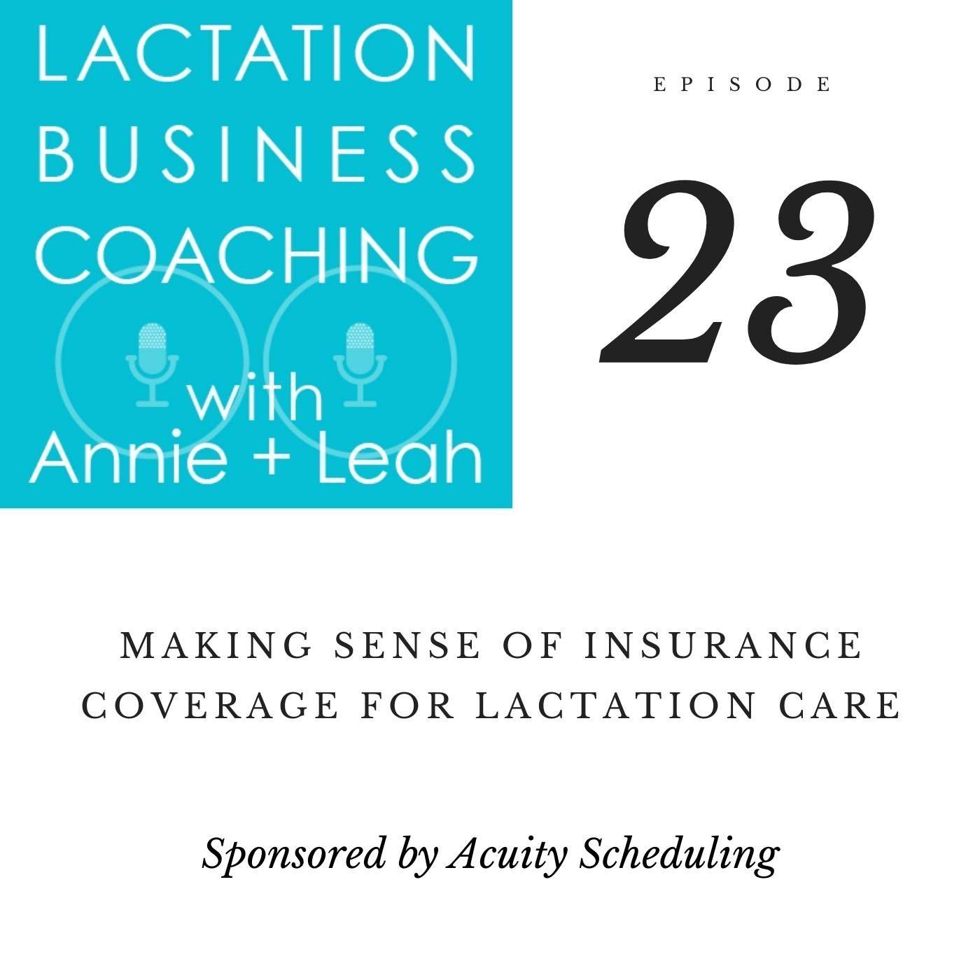 23 | Making Sense of Insurance Coverage for Lactation Care