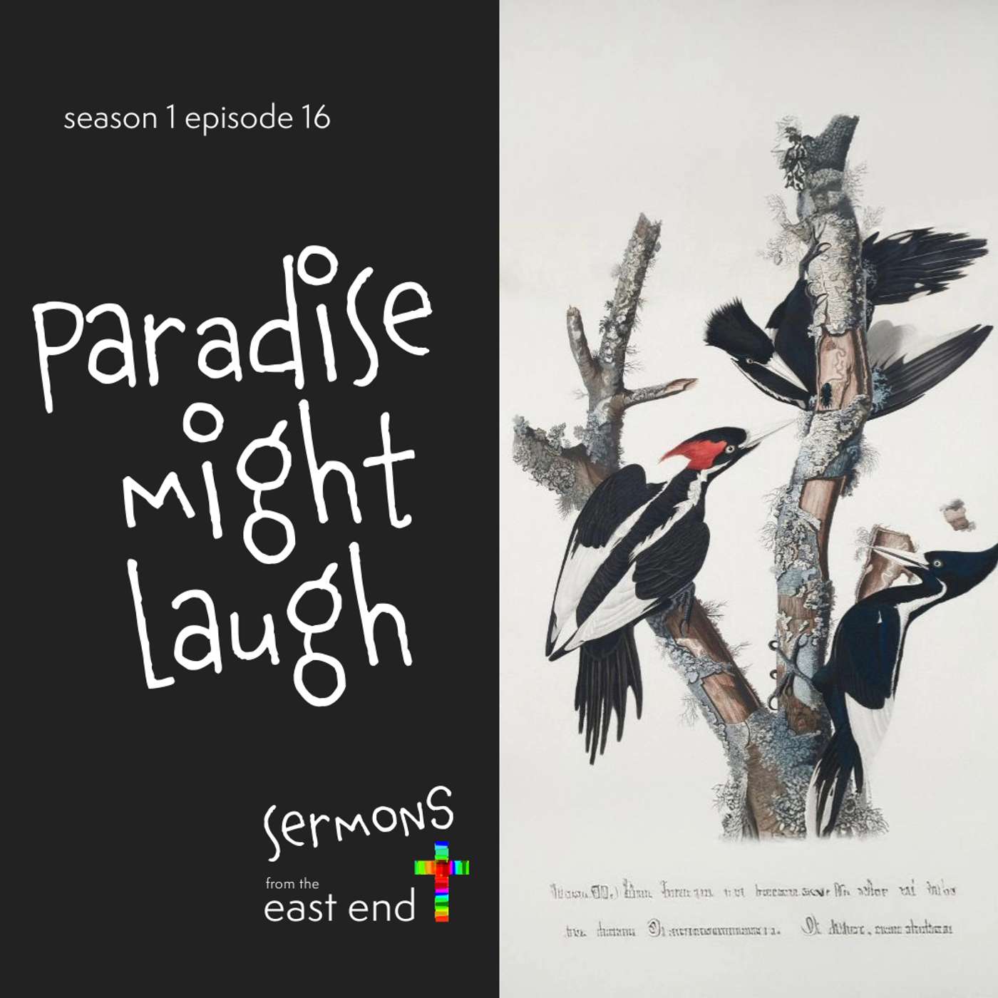 Sermons from the East End