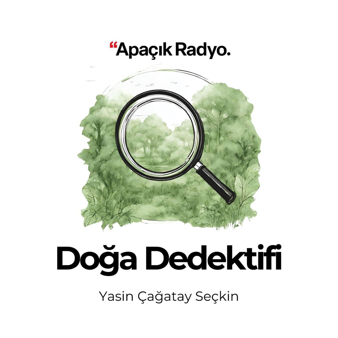 Likenler ve Şaşırtıcı Dünyaları episode artwork