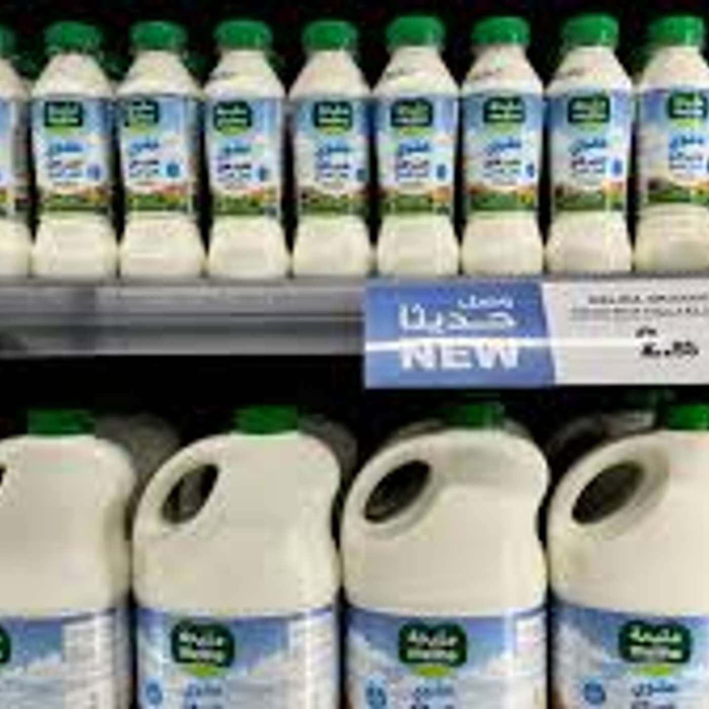 Mleiha Dairy Products Flying Off The Shelves At Sharjah Coop (15/08/24)