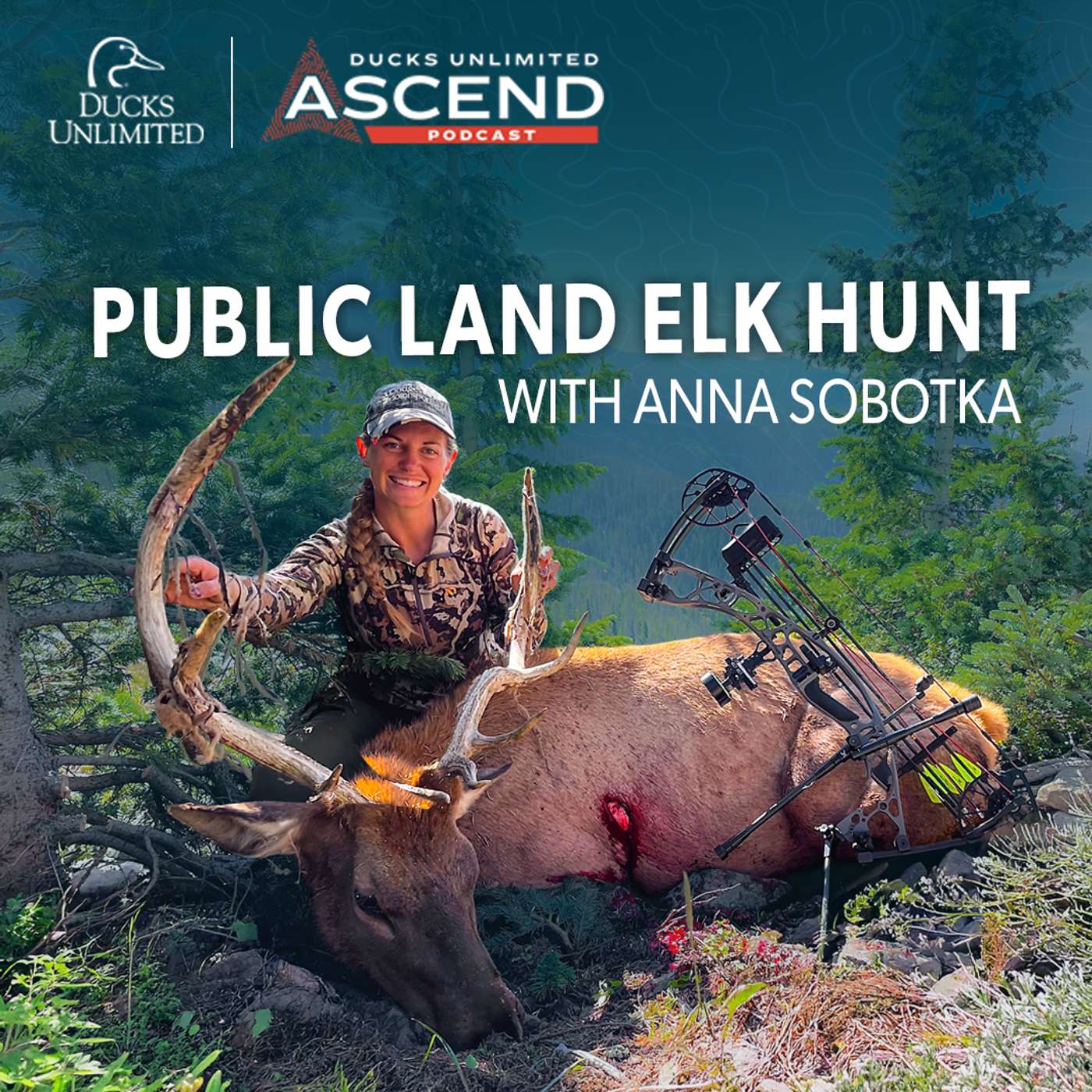 Women Hunting Elk: First Archery Harvest and Hard Lessons episode artwork