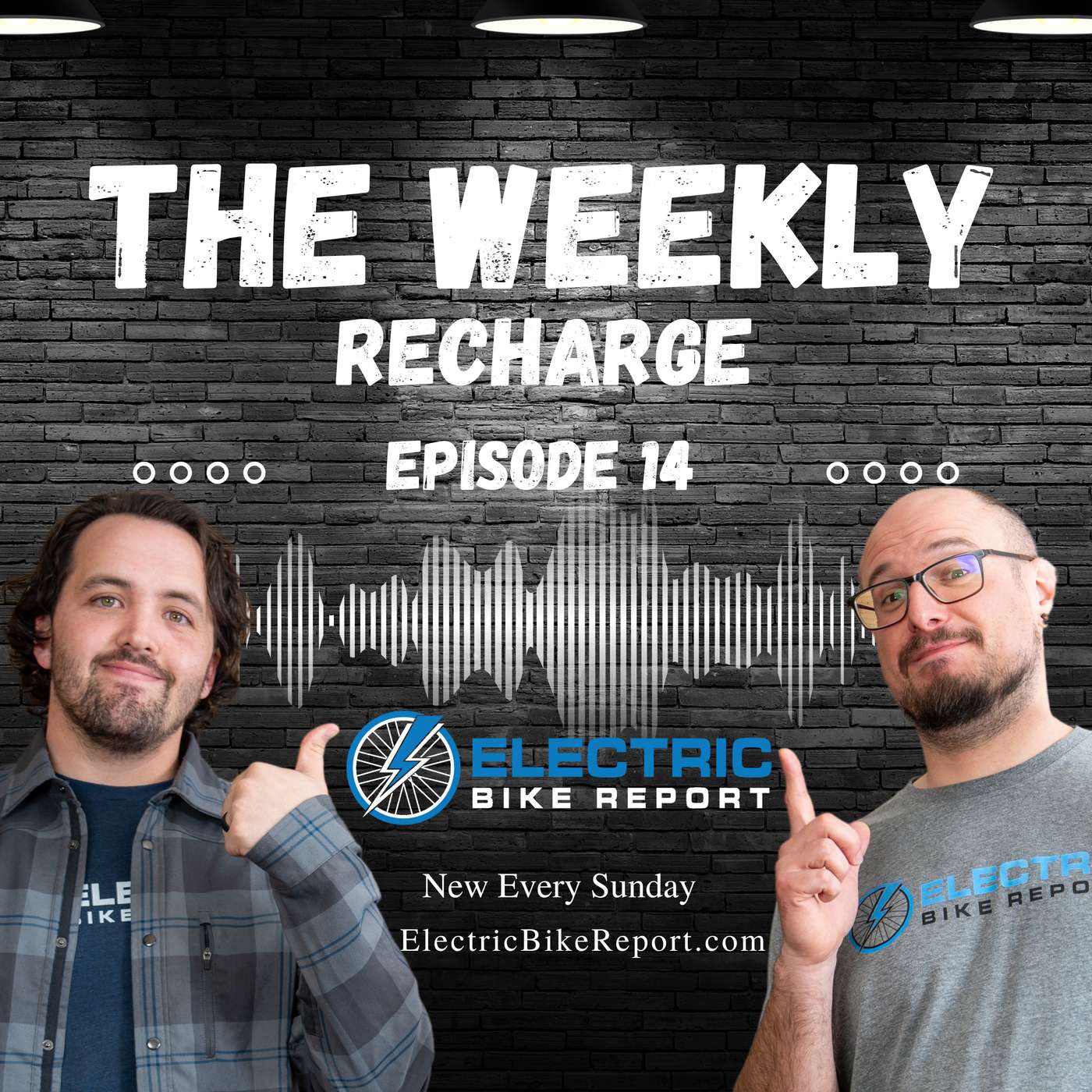 What's Happening With 2025 E-Bike Legislation? And E-Bikes from CES This Year! TWR Ep 14 episode artwork