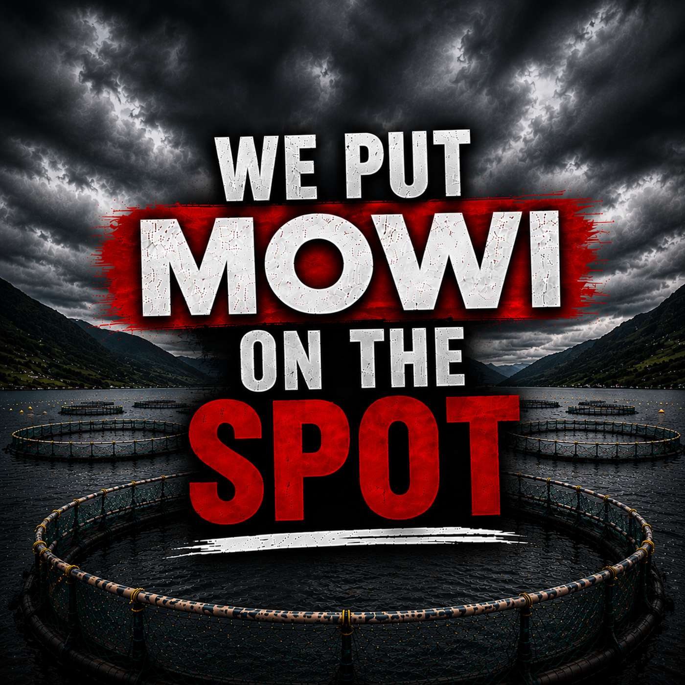 We Put Mowi on the Spot episode artwork