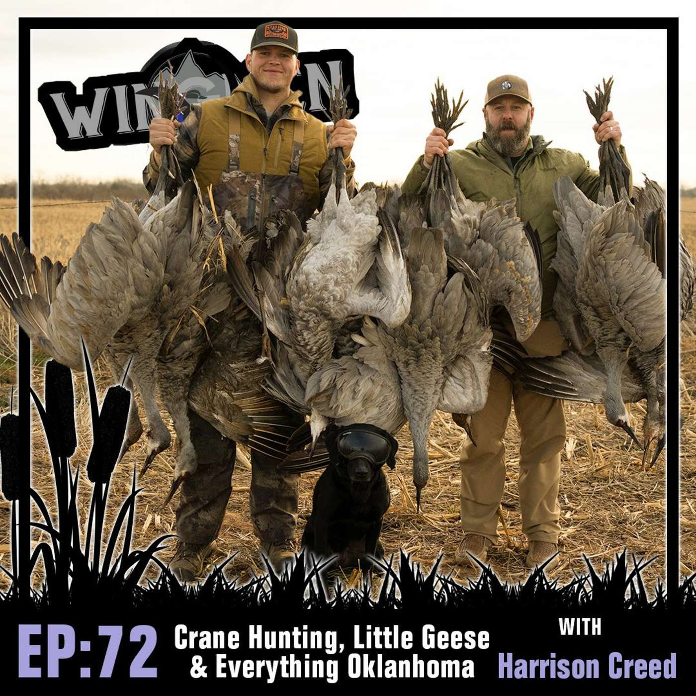 Wingmen Podcast Episode 72: Crane Hunting, Little Geese & Everything Oklahoma with Harrison Creed episode artwork