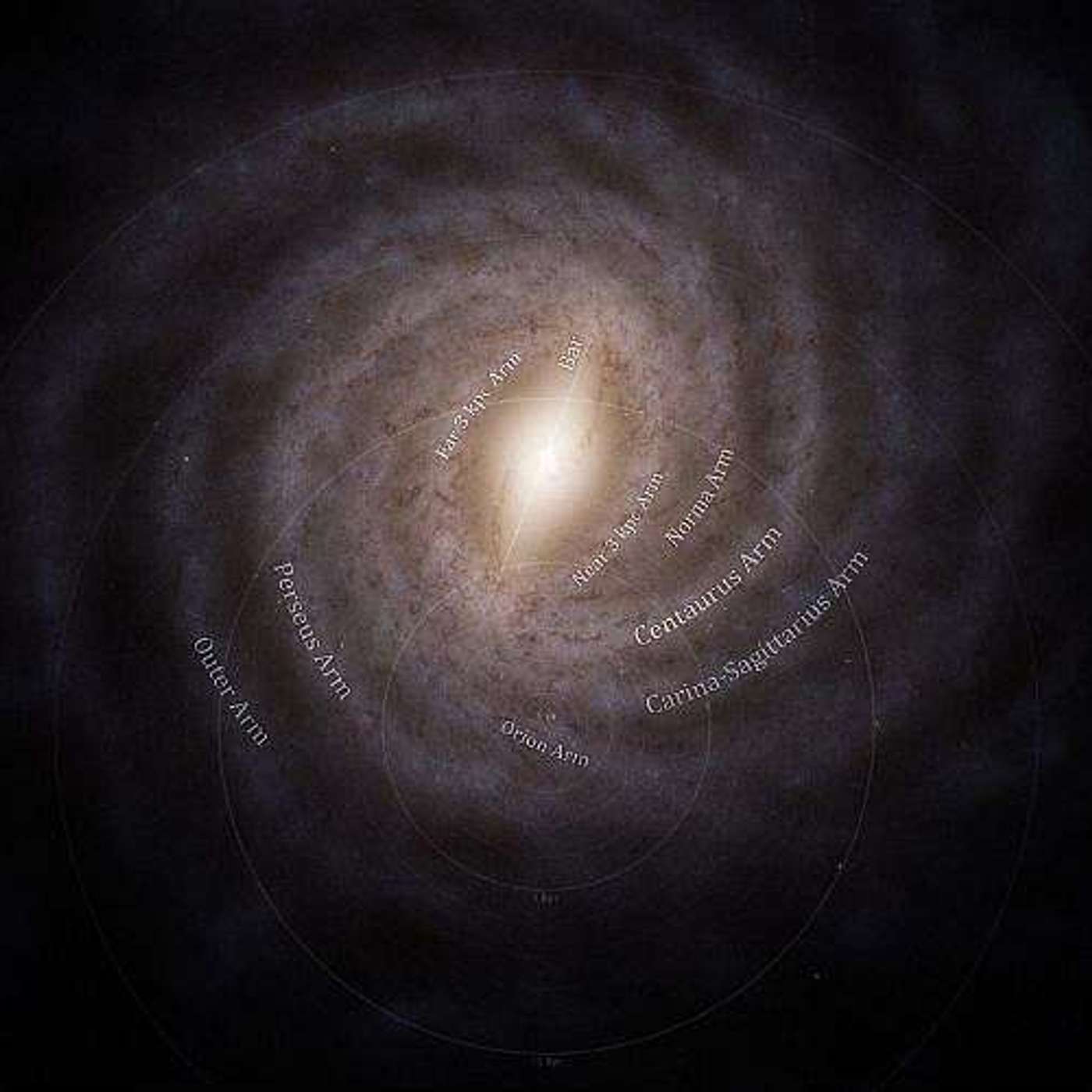 Gaia Mission Completes Stellar Map, New Gene Variants Linked to Depression, AI Decodes Zebra Finch Calls, Global Commission Redefines Obesity, and more...