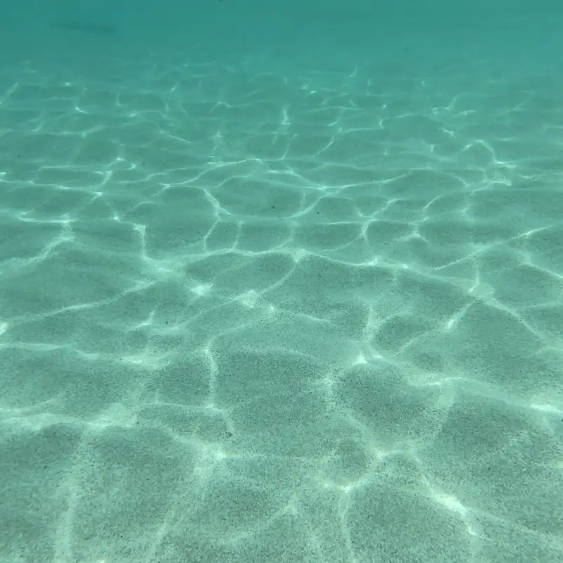 Neuro-Linguistic Programming (NLP) # 1