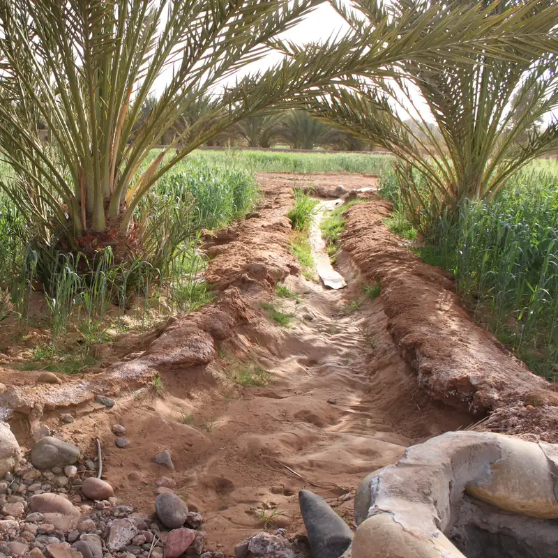 E28: /Governing the Commons/, part 4: creating a successful commons