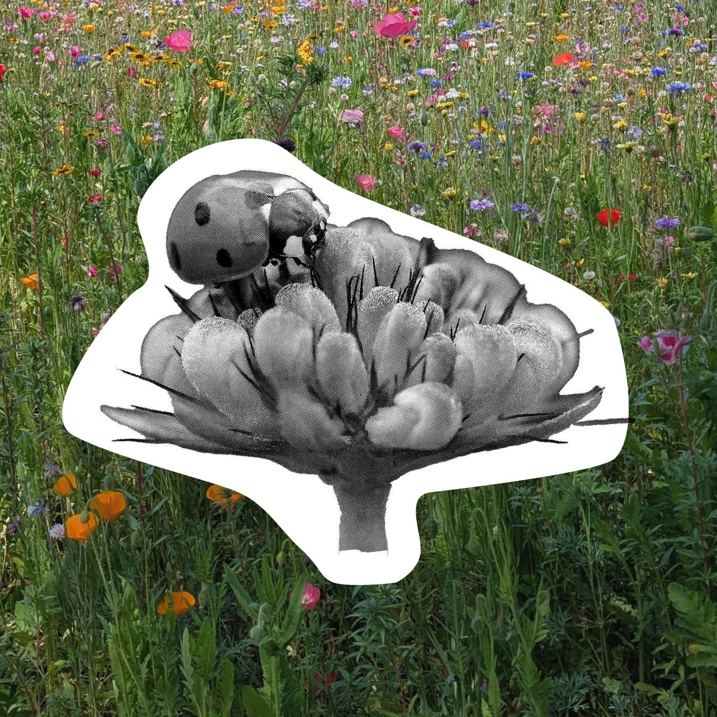 Second Nature