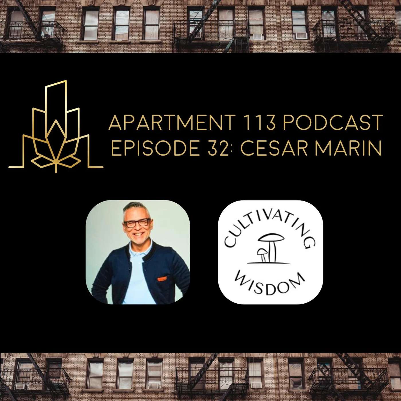 Apartment 113 Cannabis & Psychedelics Industry Podcast