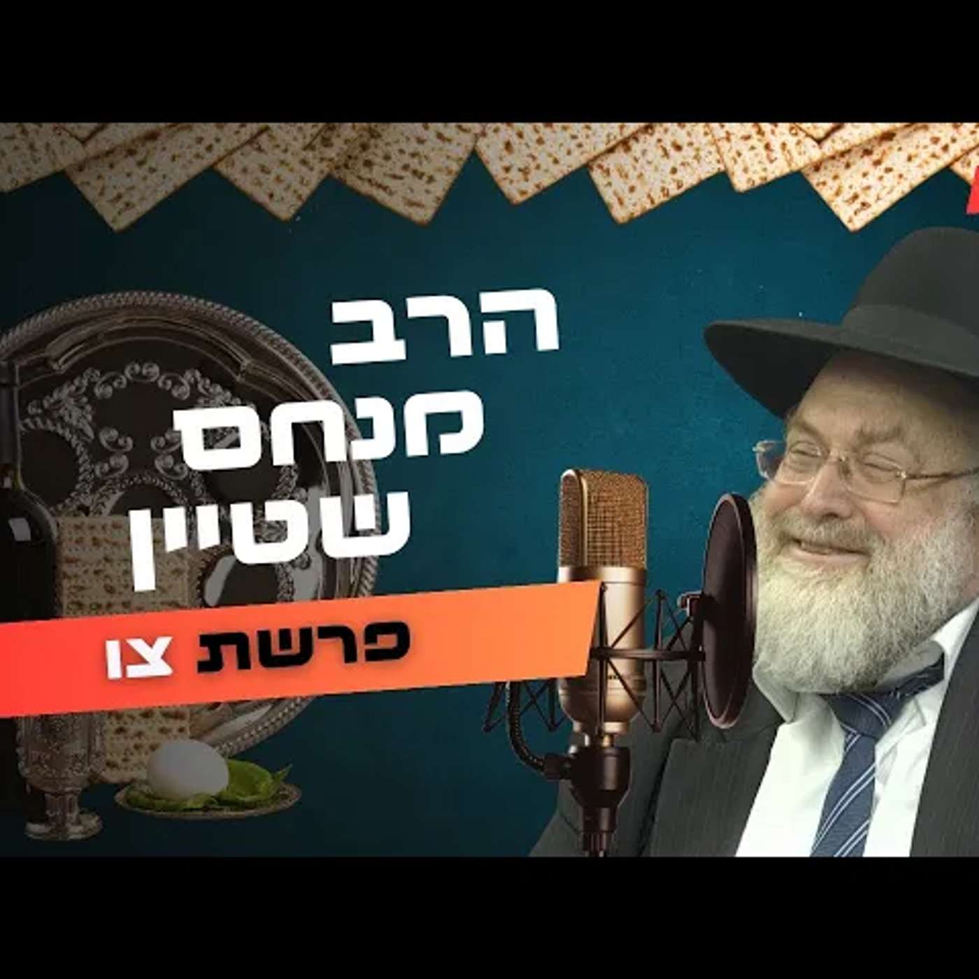 הרב מנחם שטיין • פרשת צו - פסח תשפ''ה | עלונימייל
