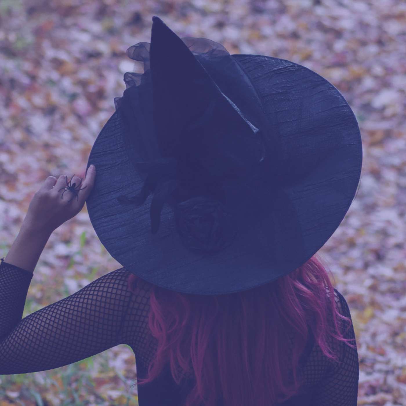 #312 | A History of Witches | Misogyny, Magic and Murder