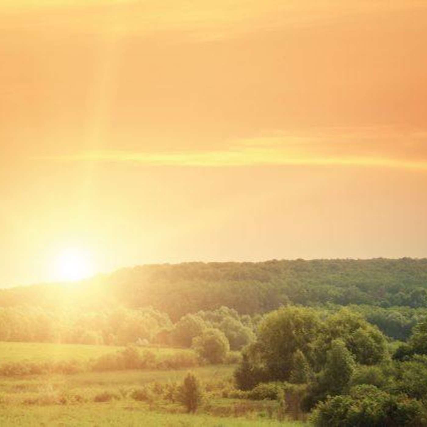 Insights and tips from New Zealand in dealing with summer drought conditions