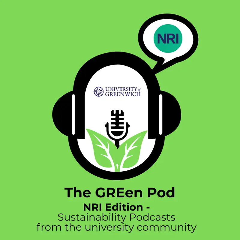 01.06.23 - NRI Podcast - Episode 6 – Dr Linda Nicolaides