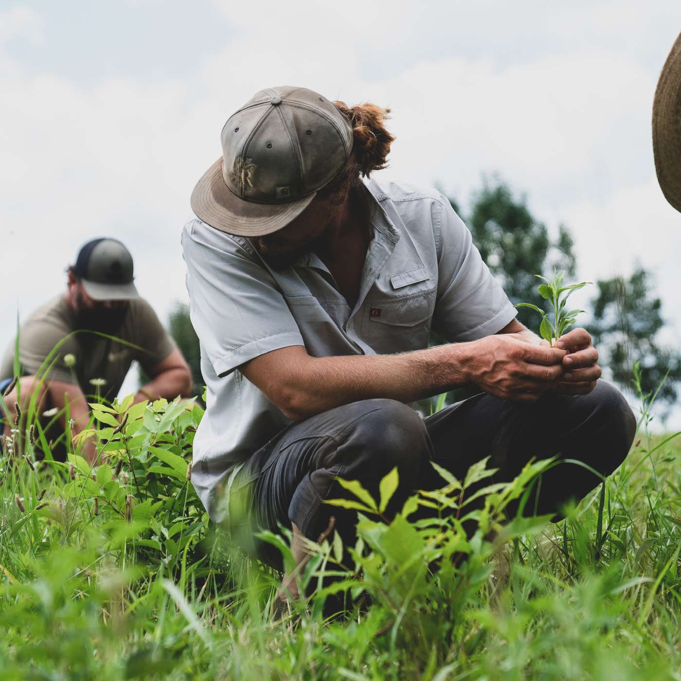 Kin-centric Rewilding 2 - Bonus - continuation of the conversation with Daniel Firth Griffith