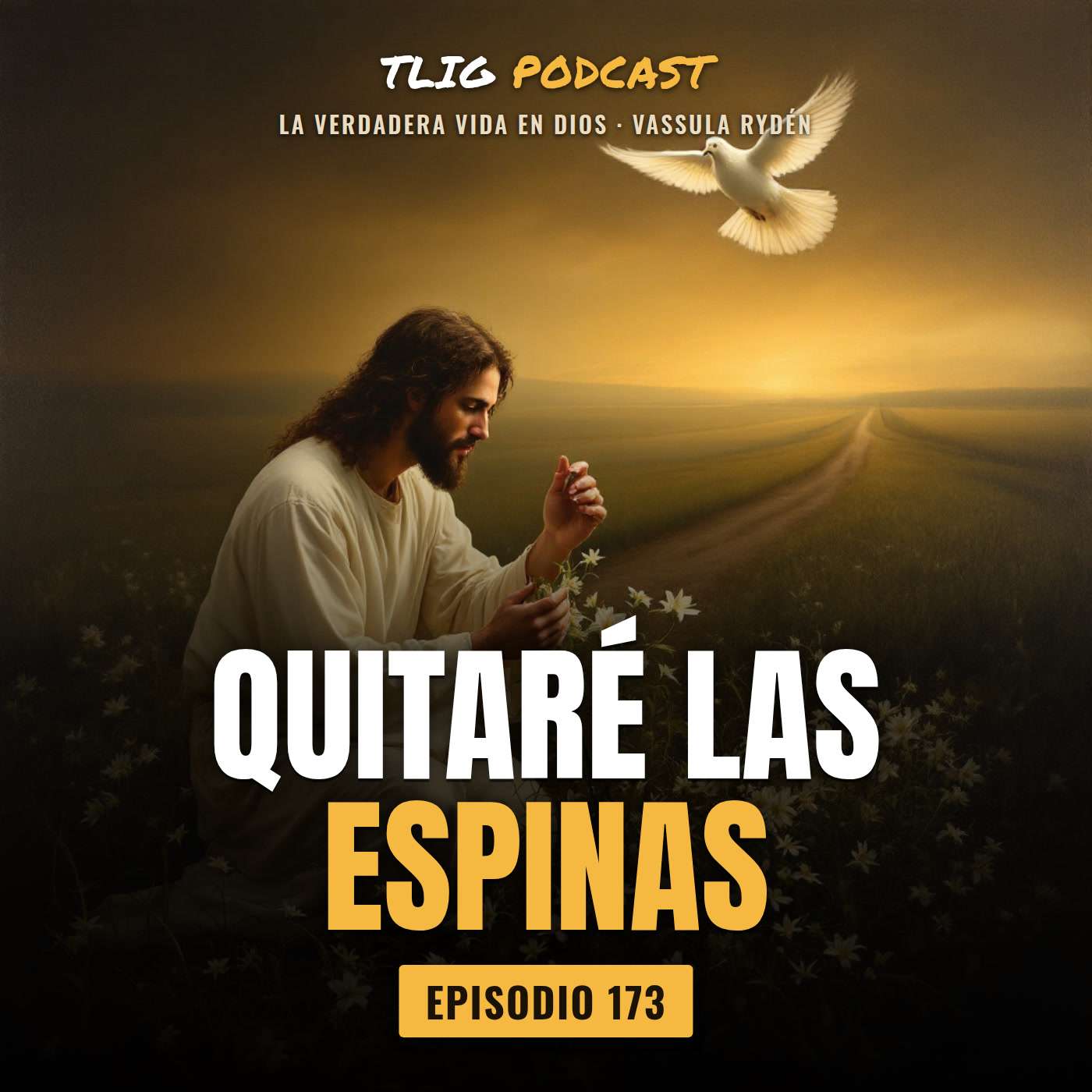 Portada de Verdadera Vida en Dios