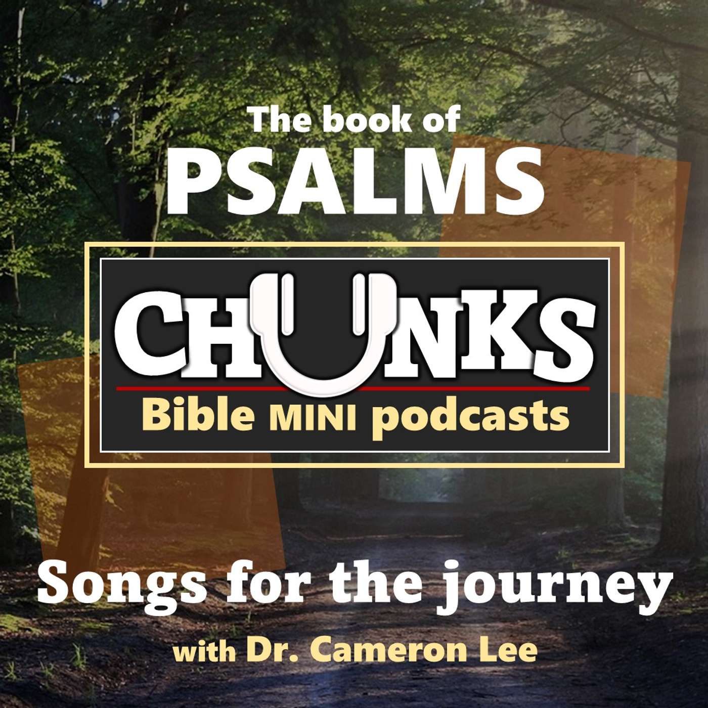Chunks: The Book of Psalms podcast artwork
