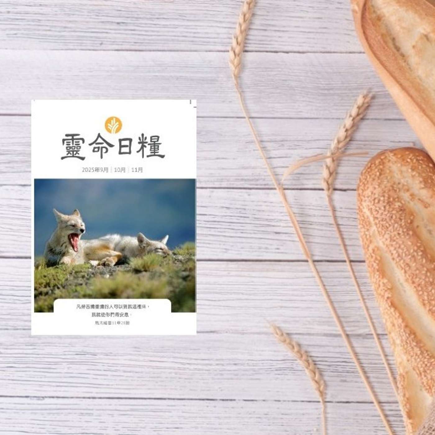 10月2日  虛心受教