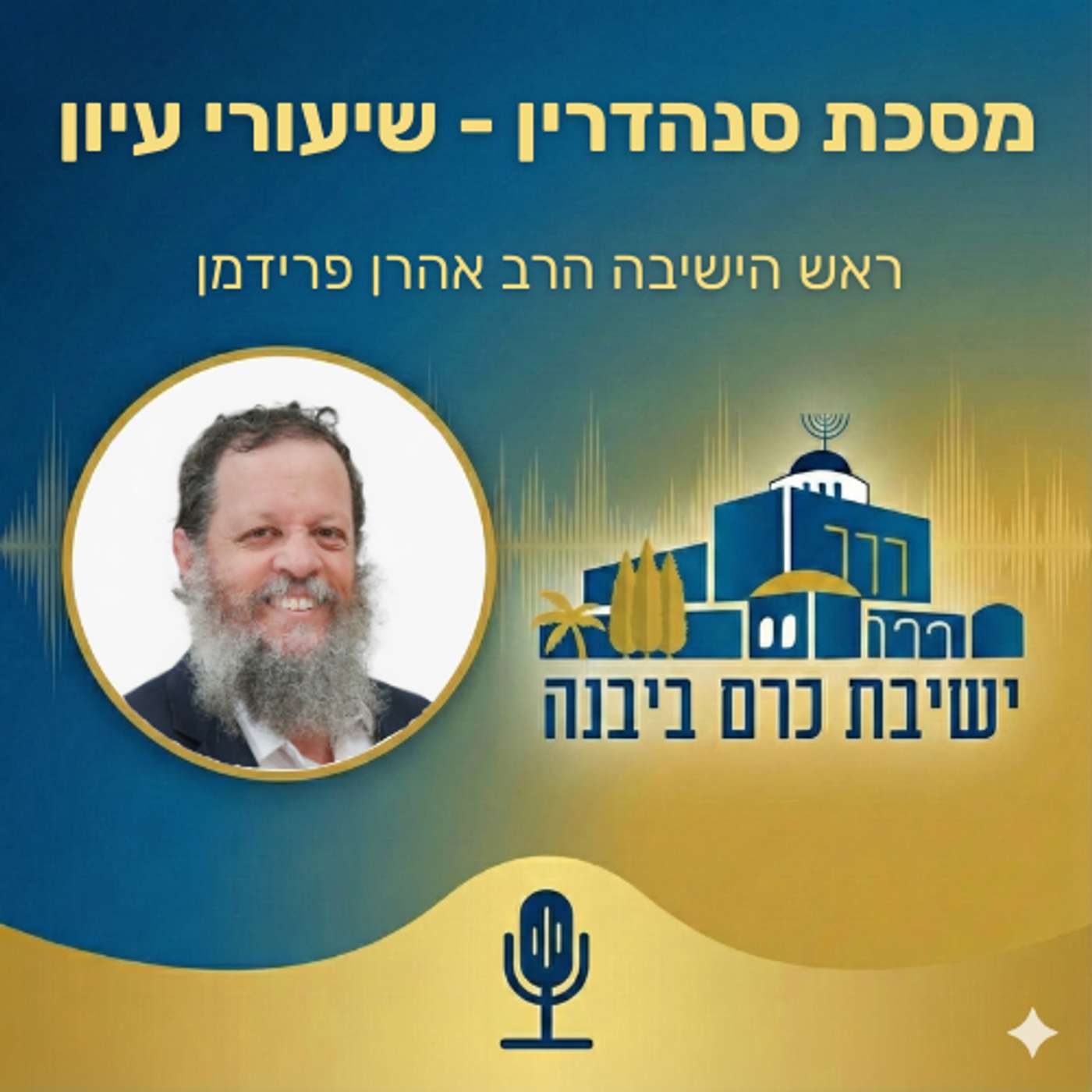 מסכת סנהדרין - שיעורי עיון | הרב אהרן פרידמן (ישיבת כרם ביבנה) podcast artwork