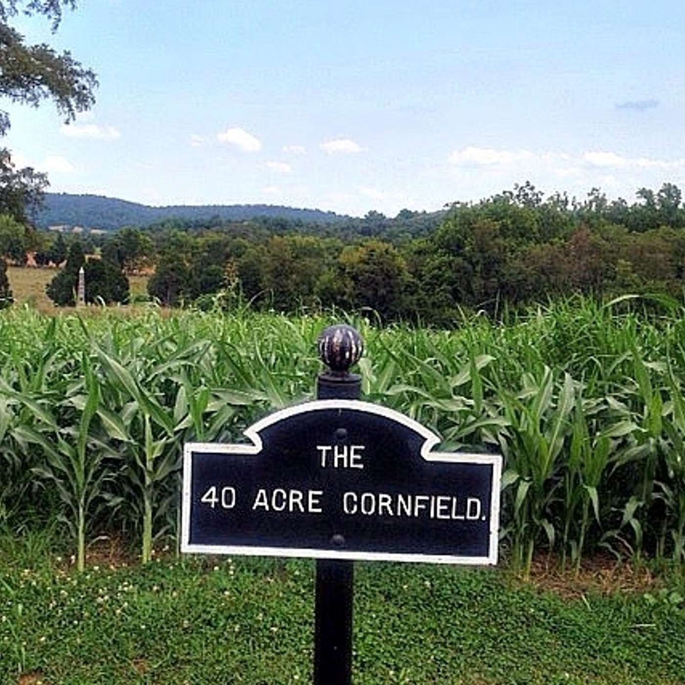 Listener spotlight: A Civil War-mad Canadian