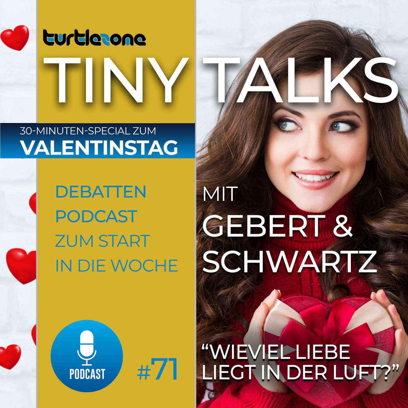 Turtlezone Tiny Talks - Der Debatten-Podcast mit Gebert und Schwartz