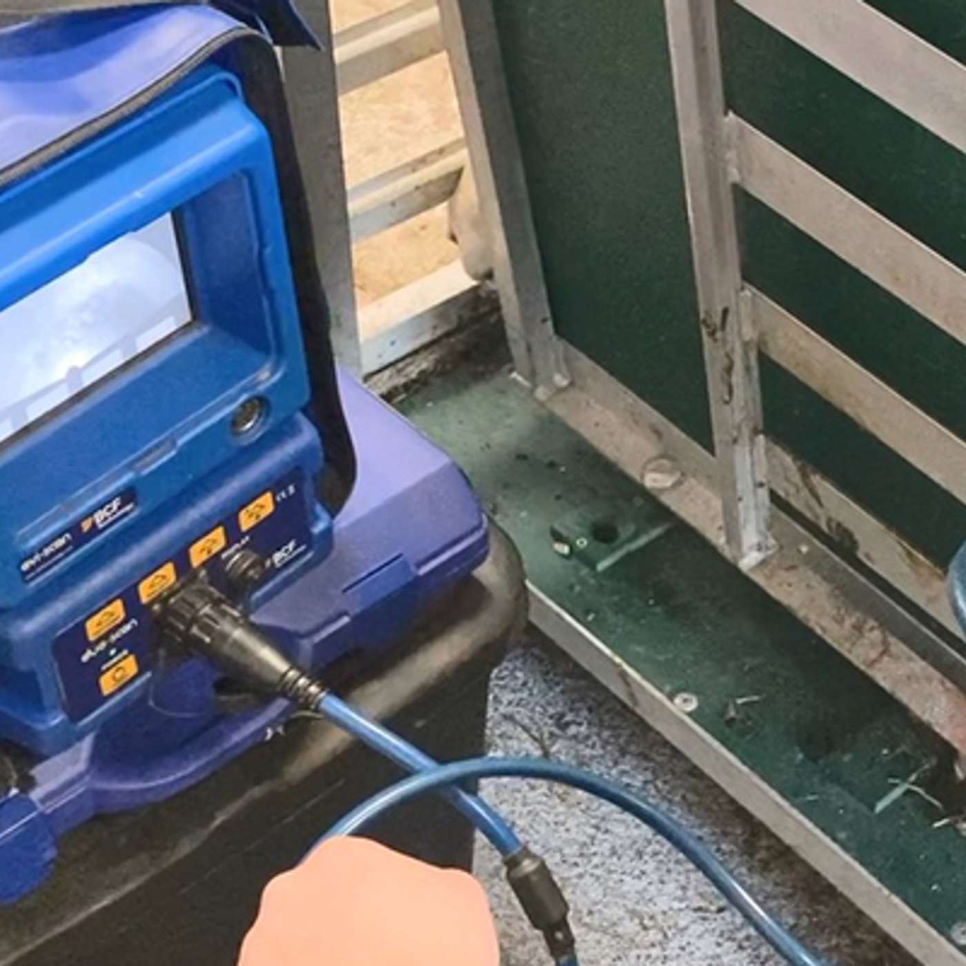 Turning Scanning Results into Better Flock Performance Turning Scanning Results into Better Flock Performance