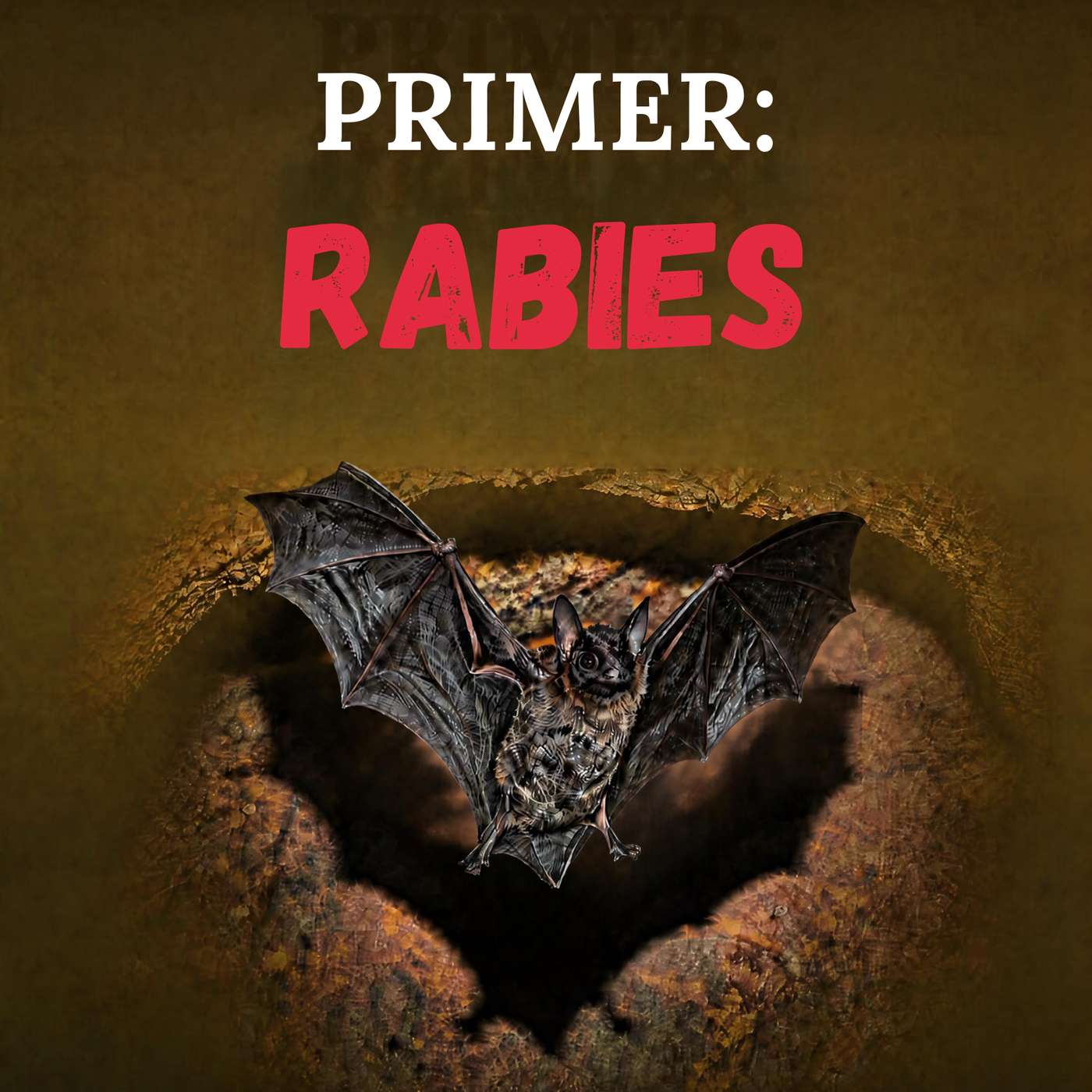 Artwork for Plagues with Dr. Keith