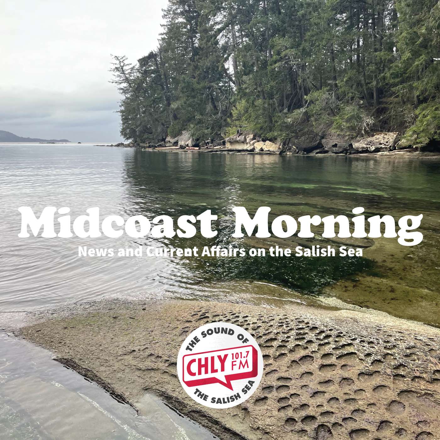 Midcoast Morning