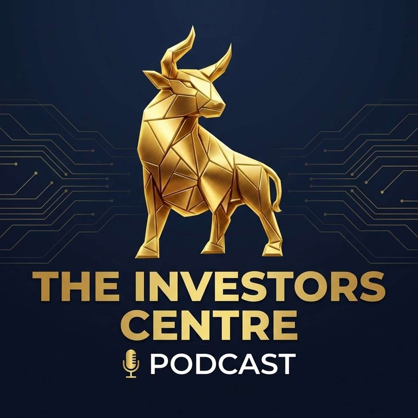 The Investors Centre Podcast podcast artwork