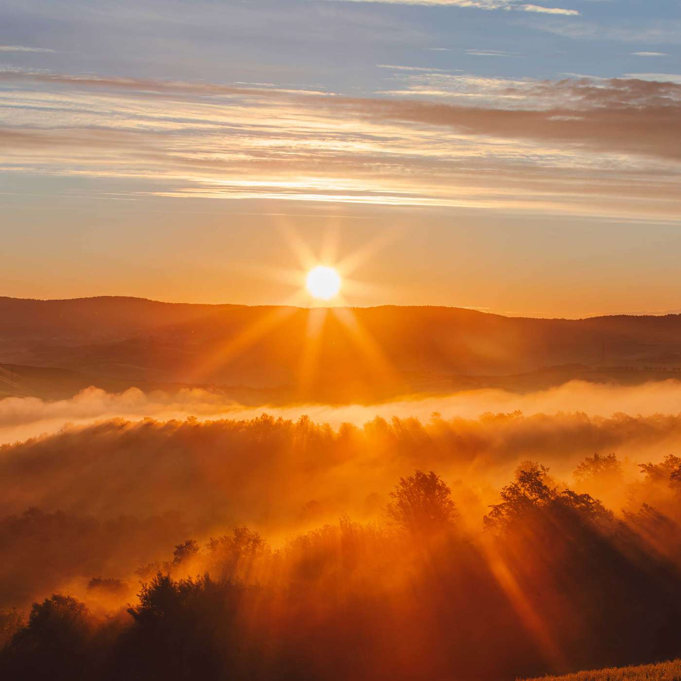 New Earth Dawning: Biological Elegance, the health of humanity and OriginEarth with Zach Bush, MD