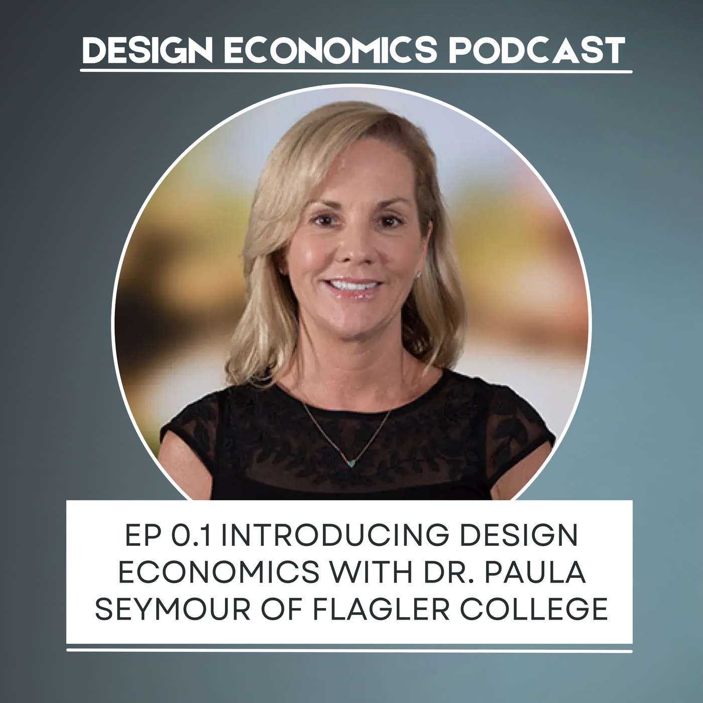 Design Economics Podcast with Vinny Tafuro