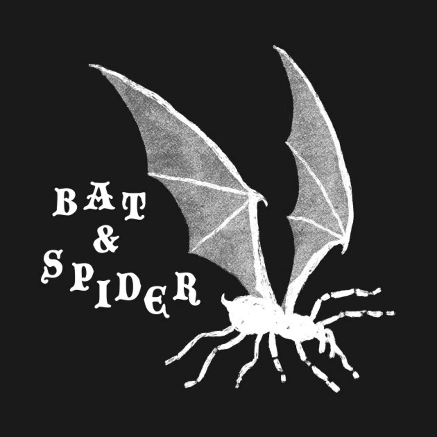 COMING SOON: 70mm meets Bat & Spider