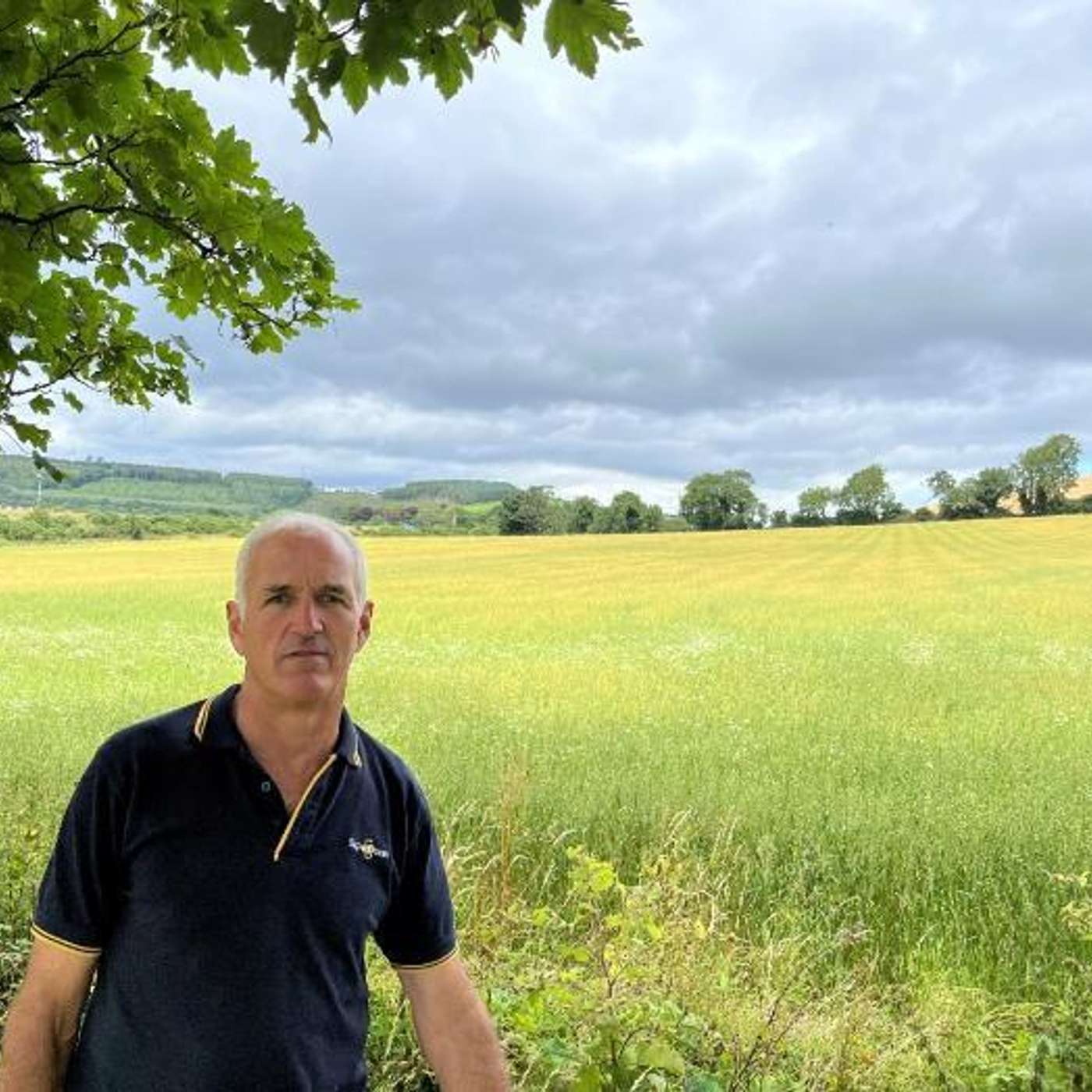 Attractive Returns: Growing Organic Tillage in Ireland