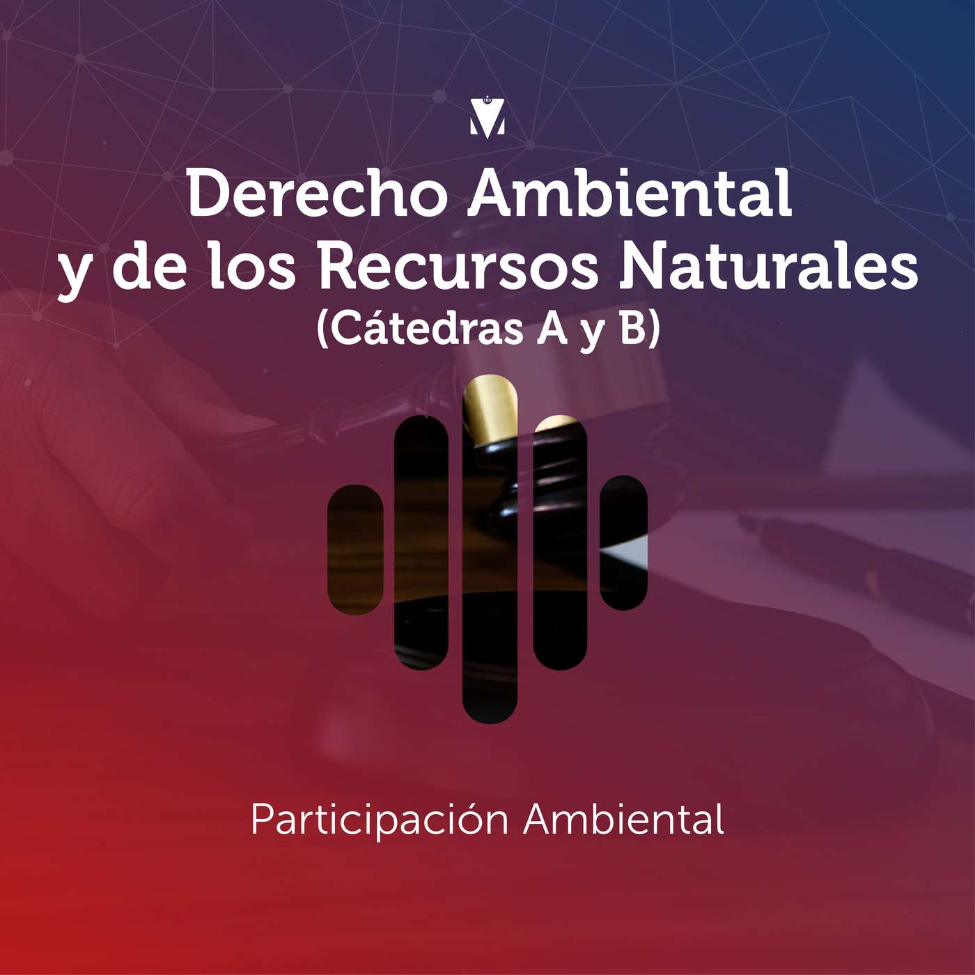 8 - DERECHO AMBIENTAL Y DE LOS RECURSOS NATURALES (CÁTEDRAS A Y B): Participación Ambiental episode artwork