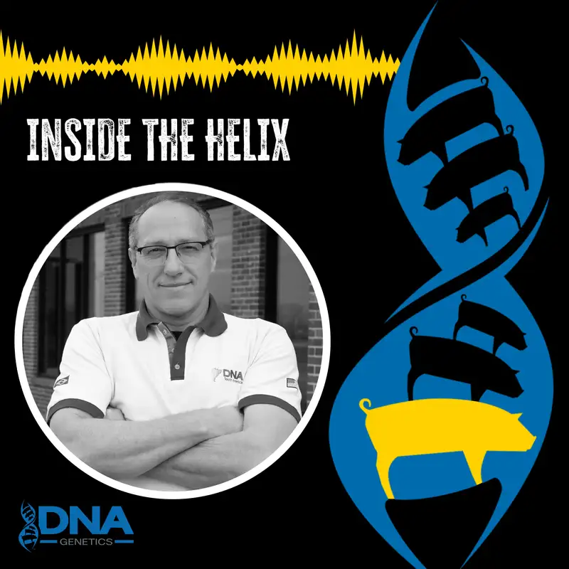 Brazilian Pork Industry