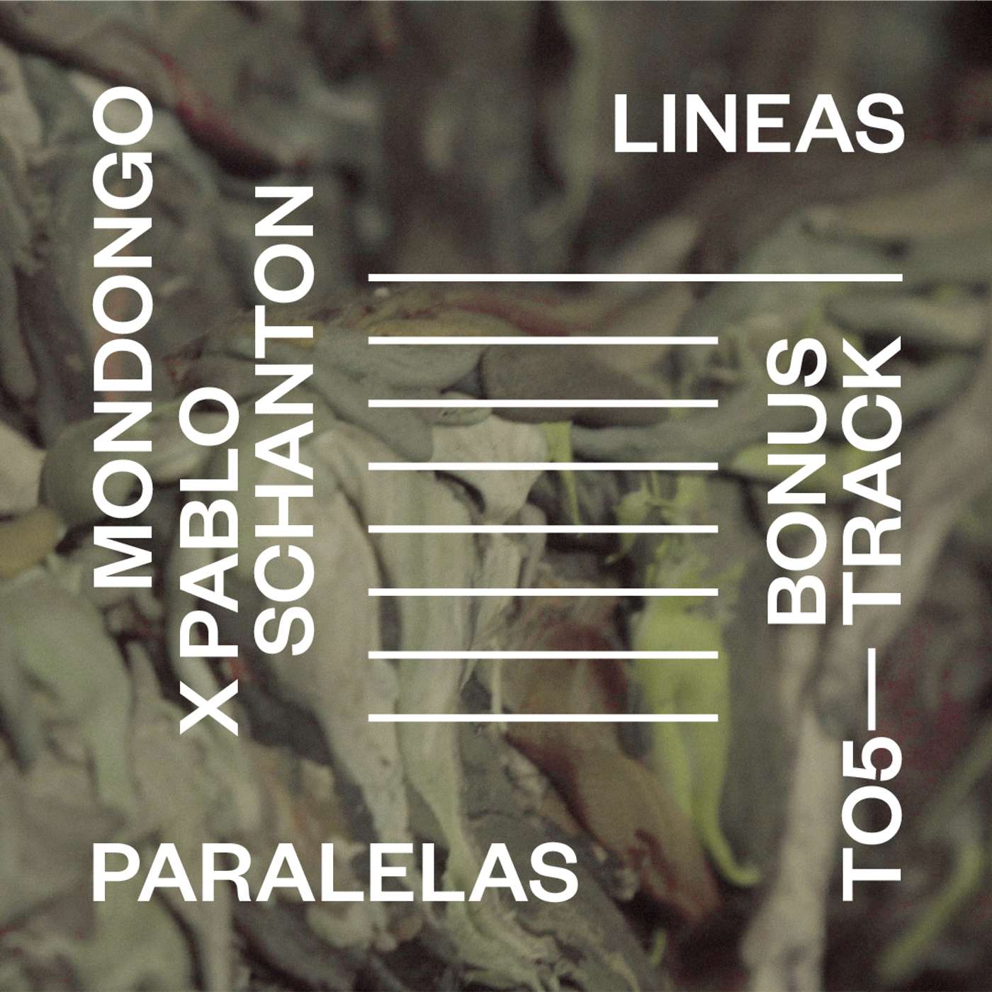 Portada de Líneas Paralelas