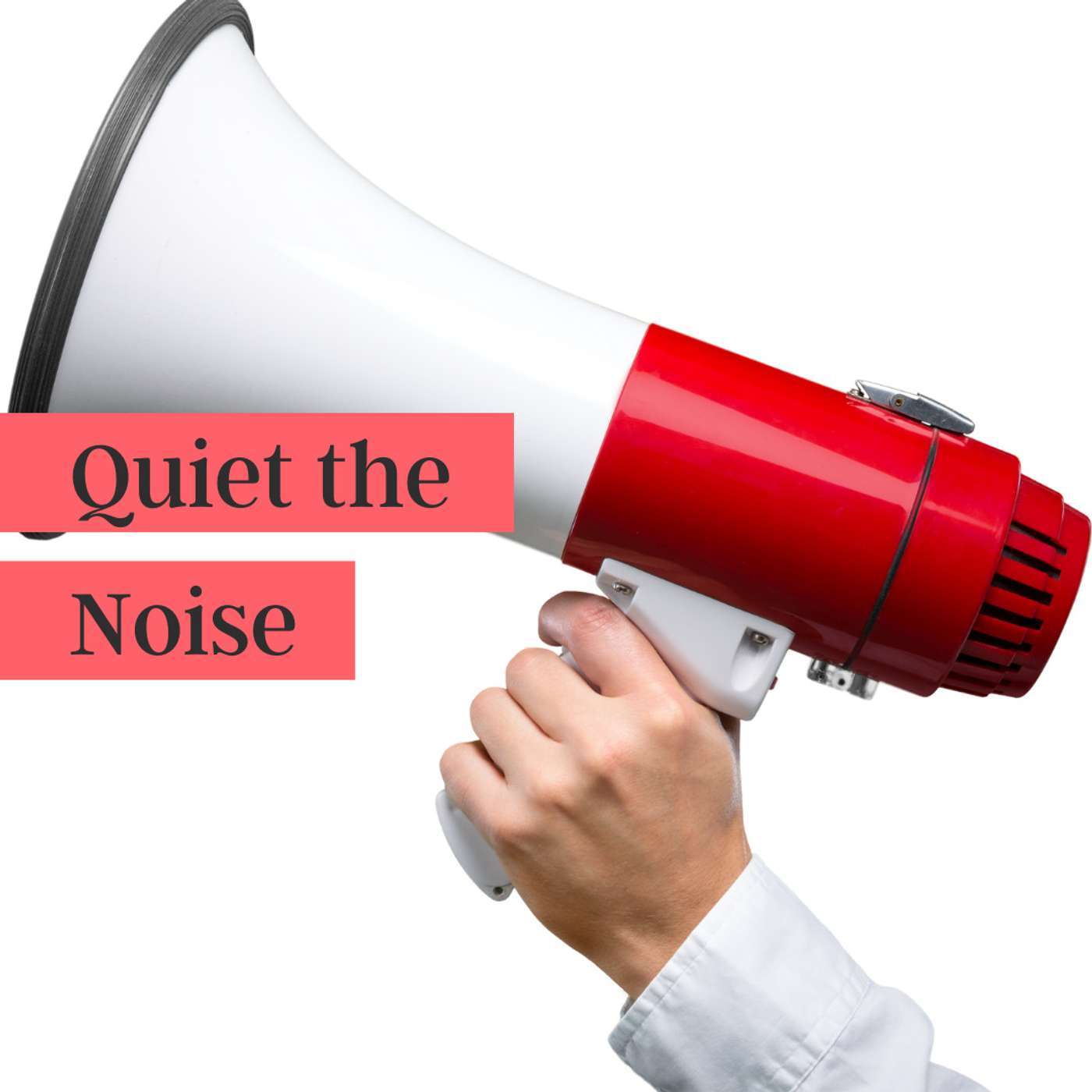 46. Quiet the Noise episode artwork